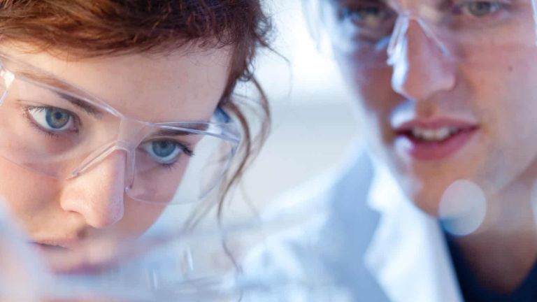 Deux personnes réalisent une activité en laboratoire
